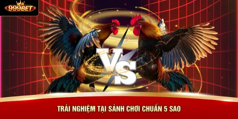 Trải nghiệm tại sảnh chơi chuẩn 5 sao